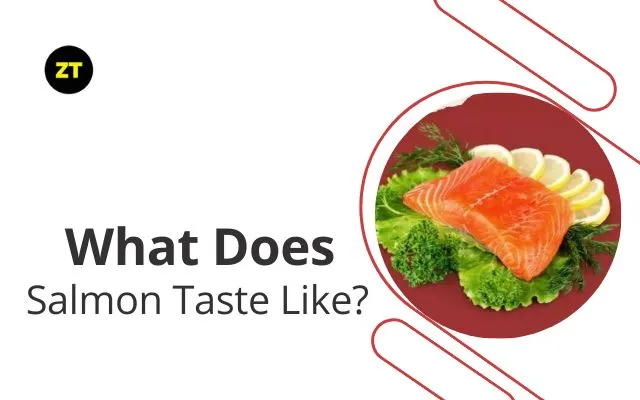 What Does Salmon Taste Like? Answer and Guide (2024) » Zero Tough